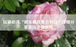 玩家必读“微乐麻将是否有挂”详细分享装挂步骤教程