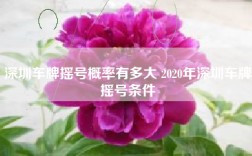 深圳车牌摇号概率有多大 2020年深圳车牌摇号条件