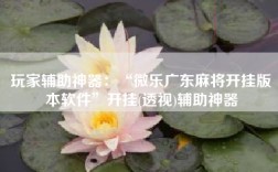 玩家辅助神器：“微乐广东麻将开挂版本软件”开挂(透视)辅助神器