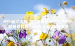 开挂辅助工具“广东雀神麻将免费开挂器游戏特色”开挂(透视)辅助神器