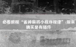 必看教程“雀神麻将小程序规律”(原来确实是有插件