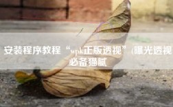 安装程序教程“wpk正版透视”(曝光透视必备猫腻