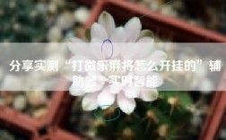 分享实测“打微乐麻将怎么开挂的”辅助器 - 实时智能