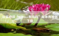 玩家必读“WePoker有挂吗”原来有神器下载