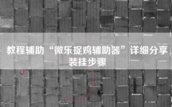 教程辅助“微乐捉鸡辅助器”详细分享装挂步骤