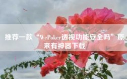 推荐一款“WePoker透视功能安全吗”原来有神器下载