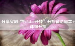 分享实测“WePoker开挂”开挂辅助脚本+详细开挂
