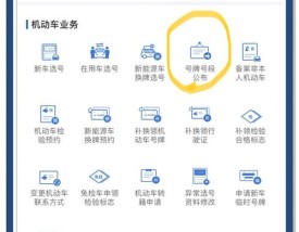 车牌查询系统(车牌查询系统官网)