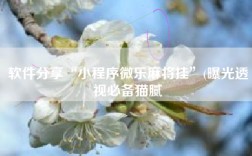 软件分享“小程序微乐麻将挂”(曝光透视必备猫腻