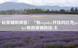 玩家辅助神器：“有wepoker开挂吗红龙poker有透视辅助挂(太