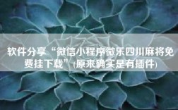 软件分享“微信小程序微乐四川麻将免费挂下载”(原来确实是有插件)