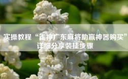 实操教程“雀神广东麻将助赢神器购买”详细分享装挂步骤