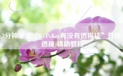 3分钟学会“WePoKer有没有透视挂”开挂(透视)辅助教程