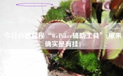 今日必看教程“WePoker辅助工具”(原来确实是有挂)