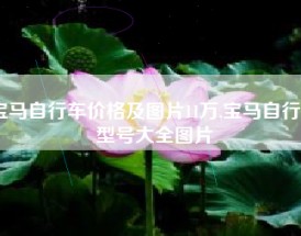 宝马自行车价格及图片11万,宝马自行车型号大全图片