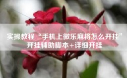 实操教程“手机上微乐麻将怎么开挂”开挂辅助脚本+详细开挂