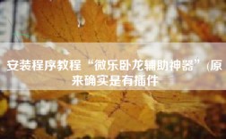 安装程序教程“微乐卧龙辅助神器”(原来确实是有插件