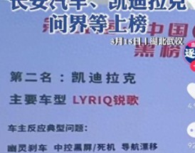 汽车315是什么意思 车辆315