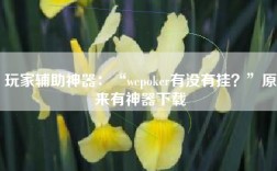 玩家辅助神器：“wepoker有没有挂？”原来有神器下载