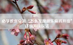 必学教你安装“怎么发现微乐麻将开挂”详细开挂玩法