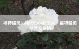 福特猛禽f350报价2020款图片／福特猛禽图片及价格