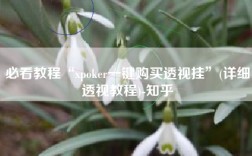 必看教程“xpoker一键购买透视挂”(详细透视教程)-知乎