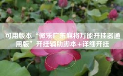 可用版本“微乐广东麻将万能开挂器通用版”开挂辅助脚本+详细开挂