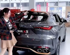 包含长安欧尚x5为什么停产了的词条