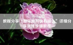 教程分享“微乐跑得快有挂么”详细分享装挂步骤教程