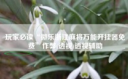 玩家必读“微乐浙江麻将万能开挂器免费”作弊(透视)透视辅助