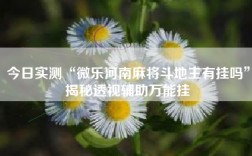 今日实测“微乐河南麻将斗地主有挂吗”揭秘透视辅助万能挂