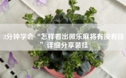 3分钟学会“怎样看出微乐麻将有没有挂”详细分享装挂