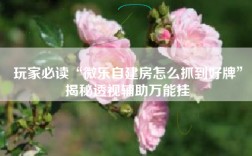 玩家必读“微乐自建房怎么抓到好牌”揭秘透视辅助万能挂