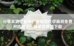 分享实测“雀神广东麻将红中麻将免费开挂器下”原来有神器下载