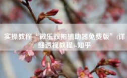 实操教程“微乐双扣辅助器免费版”(详细透视教程)-知乎