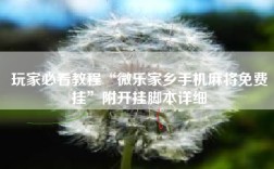 玩家必看教程“微乐家乡手机麻将免费挂”附开挂脚本详细