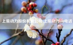 上柴动力股份有限公司 上柴动力400电话