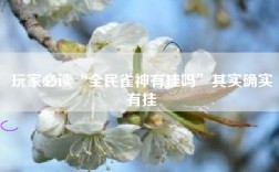 玩家必读“全民雀神有挂吗”其实确实有挂