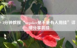 3分钟教程“wepoker是不是有人用挂”详细分享装挂