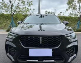 小车wey是什么车(wey 是什么牌的车)