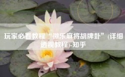 玩家必看教程“微乐麻将胡牌卦”(详细透视教程)-知乎