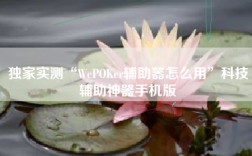独家实测“WePOKer辅助器怎么用”科技辅助神器手机版