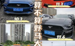 福特野马二手多少钱(二手 福特野马)