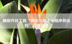 辅助开挂工具“微乐斗地主小程序有挂吗”详细开挂