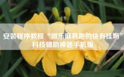 安装程序教程“微乐麻将跑的快有挂吗”科技辅助神器手机版