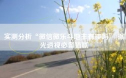 实测分析“微信微乐斗地主有挂吗”(曝光透视必备猫腻