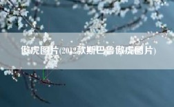 傲虎图片(2012款斯巴鲁傲虎图片)