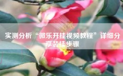 实测分析“微乐开挂视频教程”详细分享装挂步骤