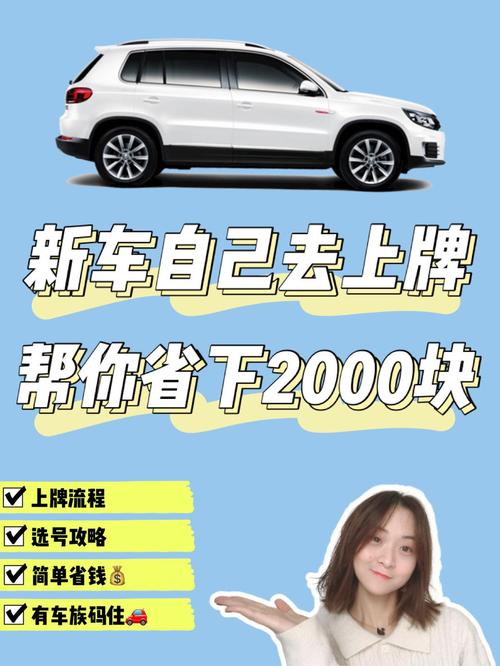自己去车管所上牌要多少钱,为什么新车不建议当天上牌