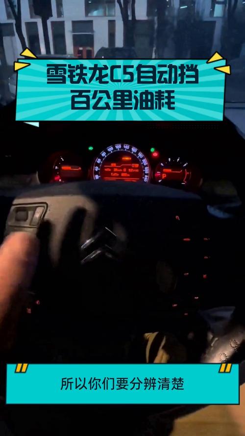 【雪铁龙c5真实油耗,东风雪铁龙c5的油耗】